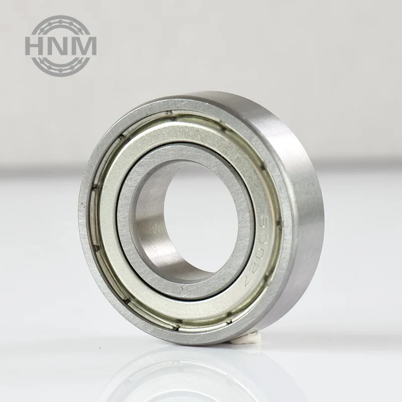 6002Z Deep Groove Ball Bearings with a Snap Ring Groove